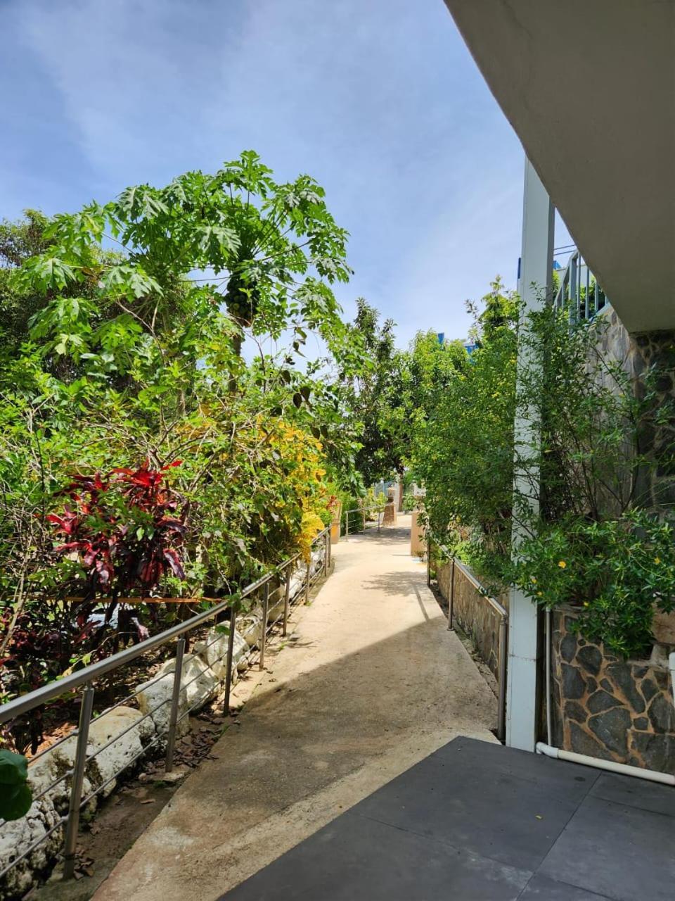 Hotel Ticozuma Montezuma Bagian luar foto