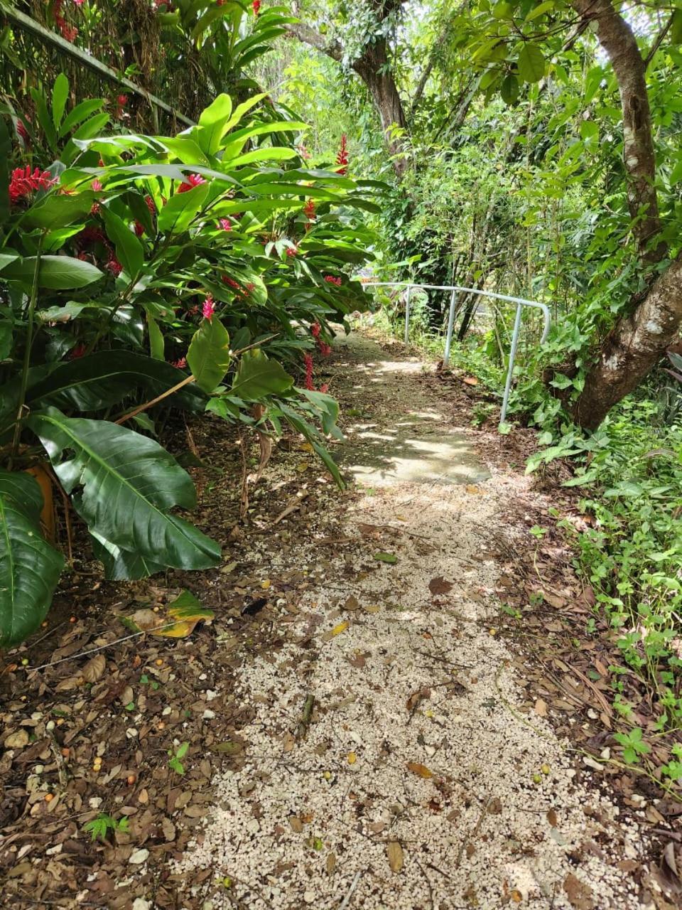 Hotel Ticozuma Montezuma Bagian luar foto